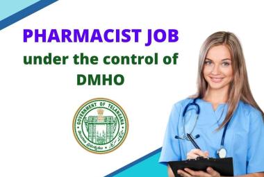 Job for Pharmacist under the control of DMHO