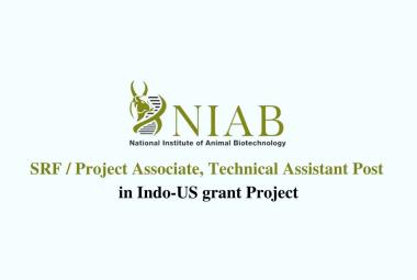 Job for SRF/ Project Associate, Technical Assistant in Indo-US grant Project, NIAB