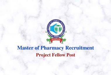 Vacancy for Project Fellow at ICT