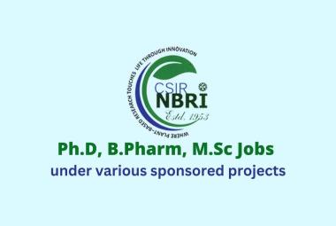 Ph.D, B.Pharm, M.Sc Job under various sponsored projects at NBRI