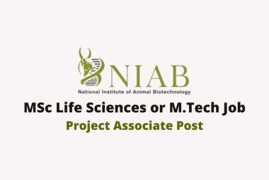Vacancy for MSc Life Sciences or M.Tech as Project Associate at NIAB