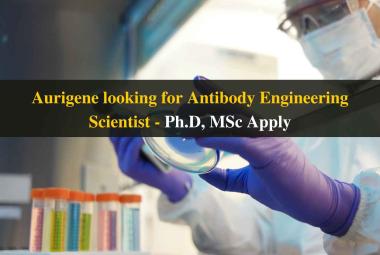 Aurigene looking for Antibody Engineering Scientist