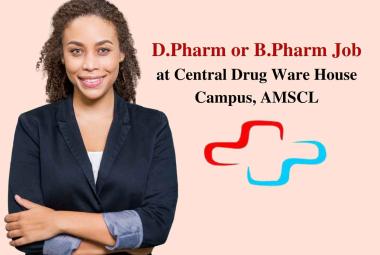 Job for D.Pharm or B.Pharm at Central Drug Ware House Campus, AMSCL
