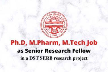 Job for Ph.D, M.Pharm, M.Tech as SRF at Panjab University