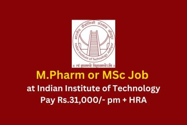 M.Pharm or MSc Job at Indian Institute of Technology
