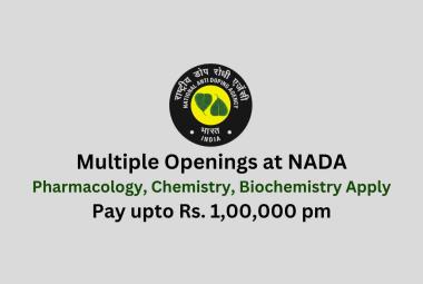 Multiple Openings at NADA