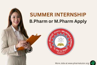 Summer Internship at Birla Institute of Technology