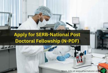 Apply for SERB-National Post Doctoral Fellowship
