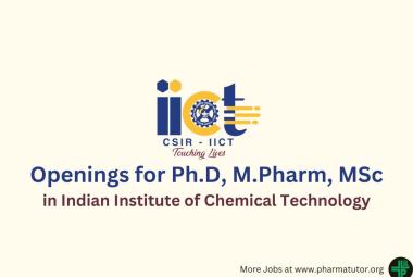 Job Openings in Indian Institute of Chemical Technology