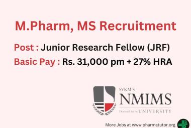 NMIMS is looking for Junior Research Fellow