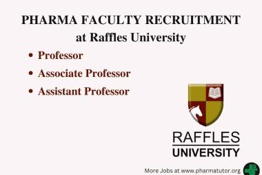 Job for Professor, Associate Professor, Assistant Professor at Raffles University