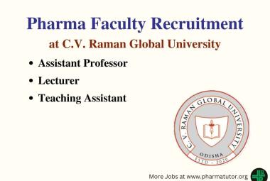 Job for Assistant Professor, Lecturer, Teaching Assistant at C.V. Raman Global University