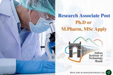 Research Associate to work in IIT Mandi