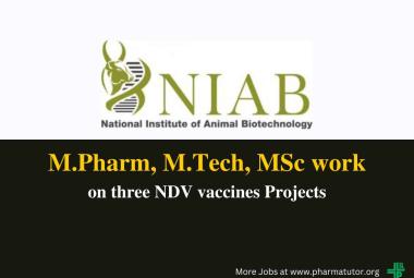 Career for M.Pharm, M.Tech, MSc at National Institute of Animal Biotechnology