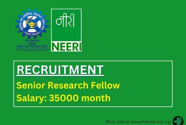 Job as Project Senior Research Fellow at NEERI
