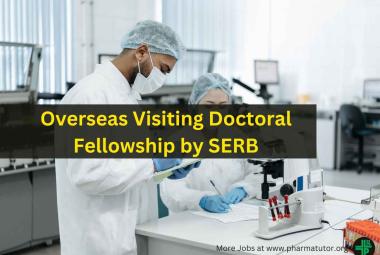 Overseas Visiting Doctoral Fellowship by SERB