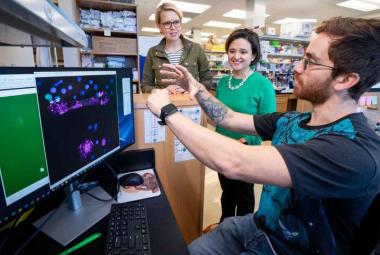 Scientists at St. Jude Childrens Research Hospital showed that GRP78 is a promising, but complex, target for CAR T-cell immunotherapy for brain and solid tumors.