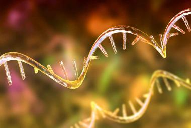 AI predicts more accurate RNA 3D structure