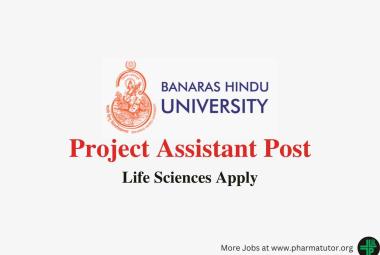 Applications are invited for post of Project Assistant at Banaras Hindu University