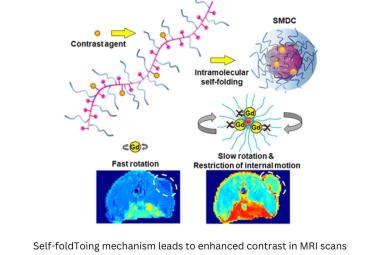 Breakthroughs in Nanosized Contrast Agents and Drug Carriers Through Self-Folding Molecules