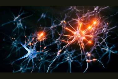 Finding that statins could slow dementia stimulates further research