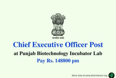 Join as CEO at Punjab Biotechnology Incubator Lab