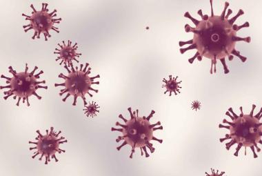 Nano-sized cell particles are promising intervention tool in treating infectious diseases