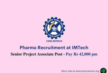 Vacancy for Senior Project Associate at IMTech