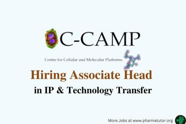 Work as Associate Head in IP & Technology Transfer at C-CAMP