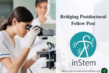 Work as Bridging Postdoctoral Fellow at inStem