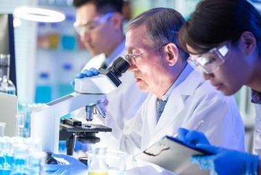 Buck Scientists Identify How Dietary Restriction Slows Brain Aging & Increases Lifespan