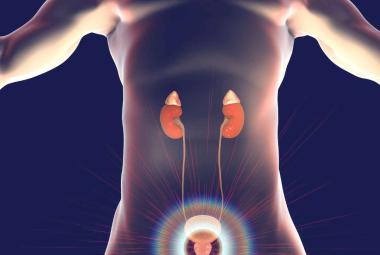 European Commission Approves Pfizer’s TALZENNA® in Combination with XTANDI® for Adult Patients with Metastatic Castration-Resistant Prostate Cancer 