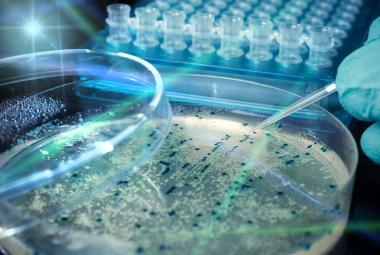 Texas A&M Team Develops Polymers That Can Kill Bacteria