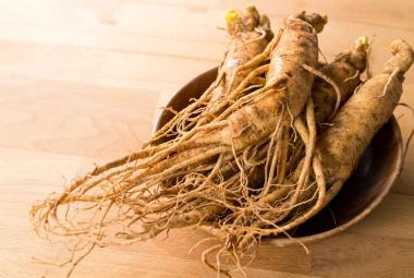Compounds in female ginseng could lead to new osteoporosis treatments