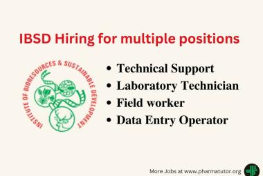 IBSD Hiring for multiple positions