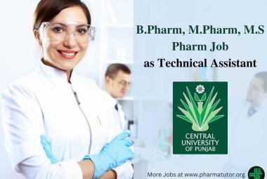 Job for B.Pharm, M.Pharm, M.S Pharm as Technical Assistant at Central University of Punjab