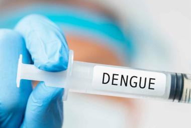 Takeda and Biological E. Limited Collaborate to Accelerate Access to Dengue Vaccine in Endemic Areas