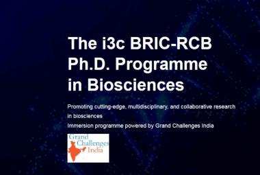 The i3c BRIC-RCB Ph.D. Programme in Biosciences
