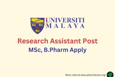 Work as Research Assistant at Universiti Malaya