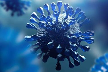 COVID-19 Antibody Discovery Could Explain Long COVID