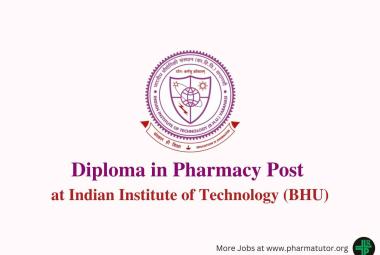 Job for Diploma in Pharmacy at Indian Institute of Technology