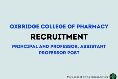 Job for Principal and Professor, Assistant Professor at Oxbridge College of Pharmacy