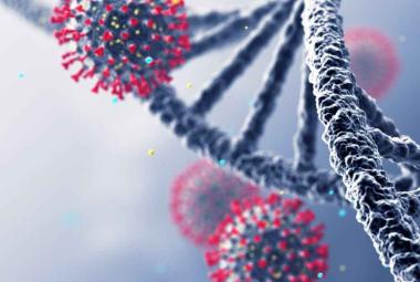 Key Gene to Protection from Severe Illness & Death from COVID-19 Infections in Men Under Age 75