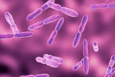 New antibiotic class effective against multidrug-resistant bacteria