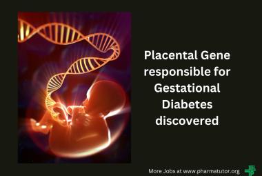 Placental Gene responsible for Gestational Diabetes discovered