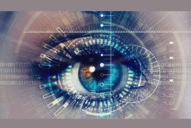 Researchers uncover potential treatment targets for Zika virus-related eye abnormalities