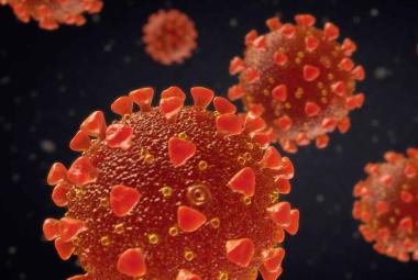 Rutgers Racing to Discover a Better Paxlovid