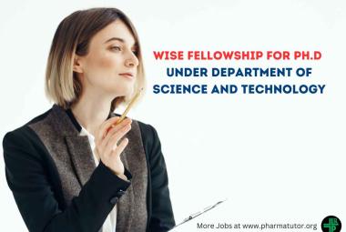 WISE Fellowship for Ph.D