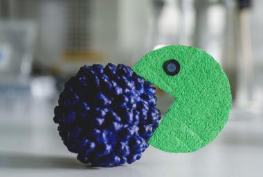 Study Paves the Way for an Active Agent Against Hepatitis E