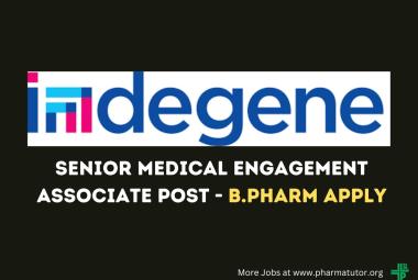 Work as Senior Medical Engagement Associate at Indegene